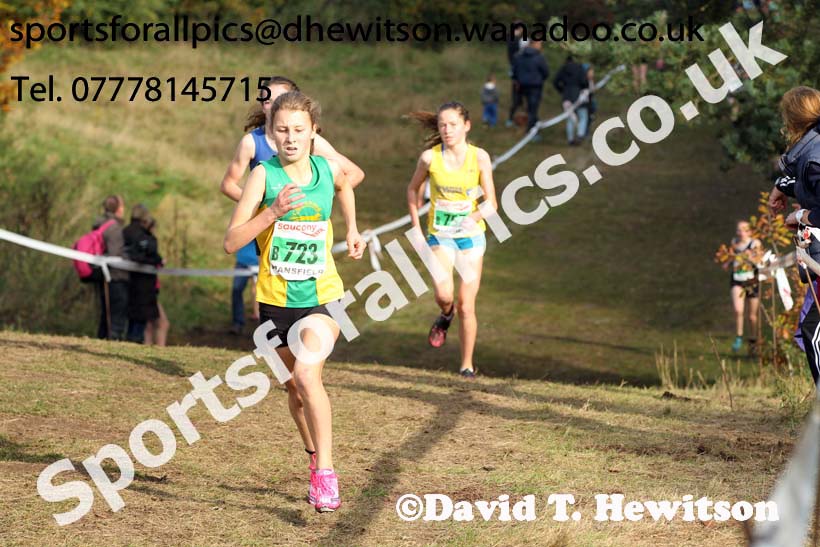 Girls under-15s, National Cross Country Relays, Berry Park, Mansfield. Photo: David T. Hewitson/Sports for All Pics